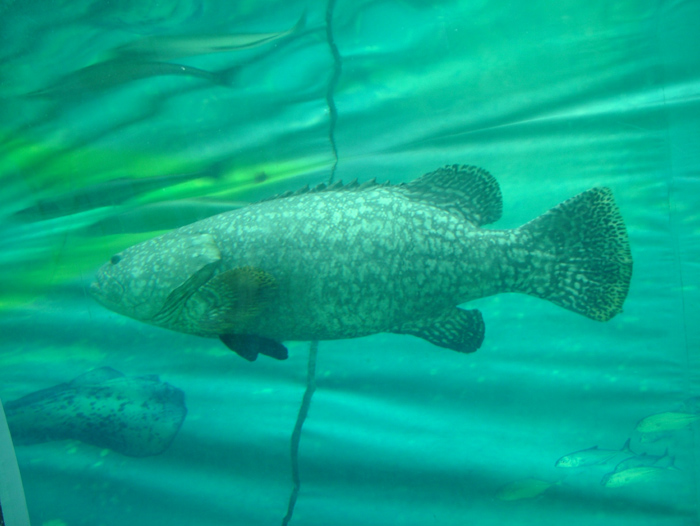 成都海底世界极地海洋馆照片,成都最出片的海洋馆