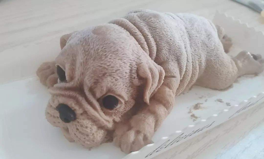 男孩子脾胃不好瘦的皮包骨怎么办,7岁男孩瘦的皮包骨