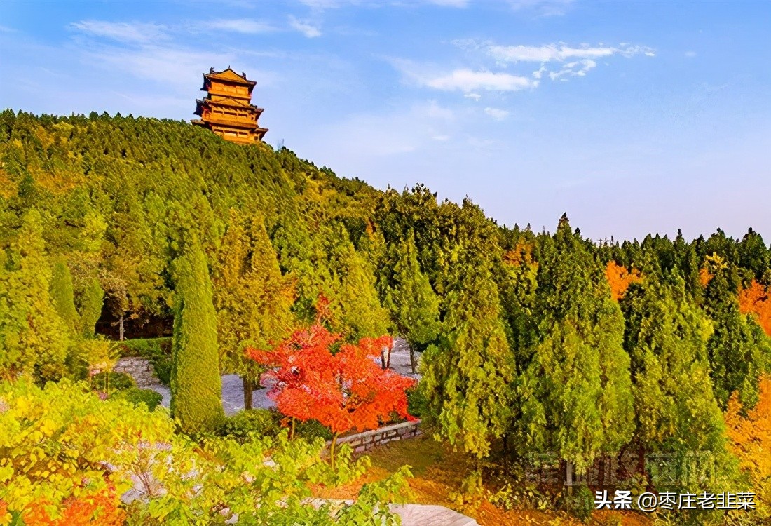 枣庄市中区房价会暴跌么,枣庄房价一般多少钱一平