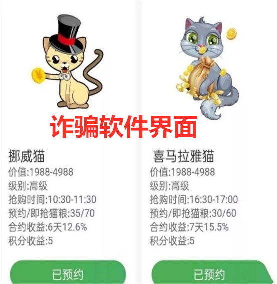 女子养了20只猫被骗,网络养猫诈骗案