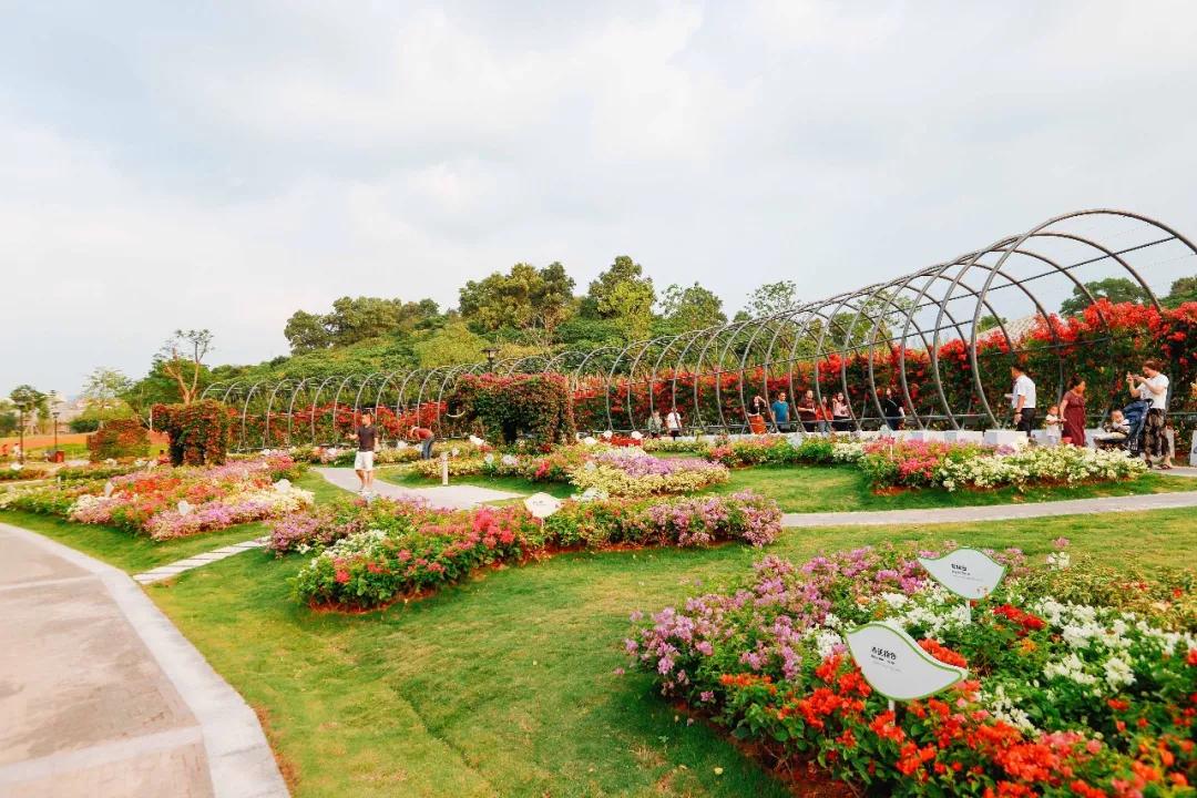 簕竹杜鹃谷公园,好看的杜鹃谷公园