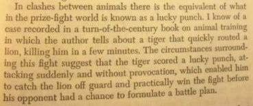 最大的狮子把老虎杀死,老虎杀死狮子