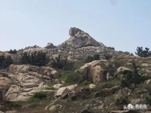 蹲犬山是大沽河的发源地吗？