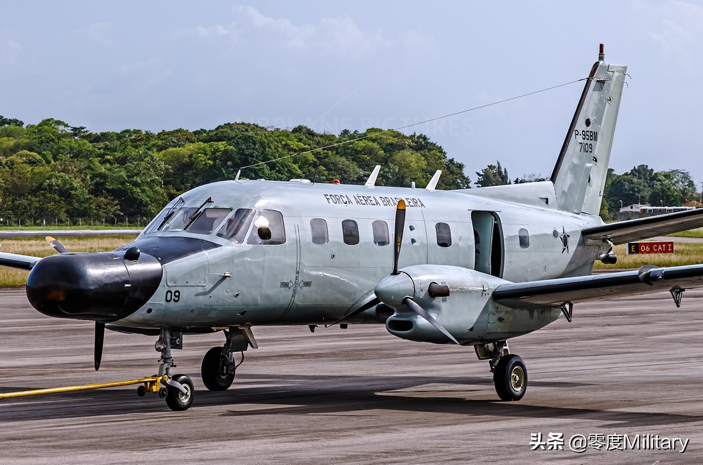 巴西空军鹰狮战斗机多少架,世界空军海军陆军