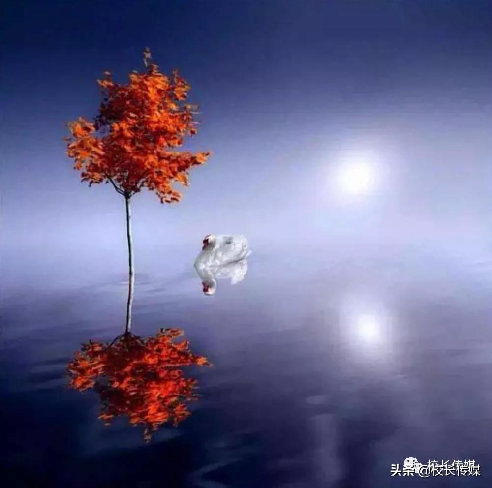 没钱买手机就自杀？比努力更重要的是对逆境保持宽容