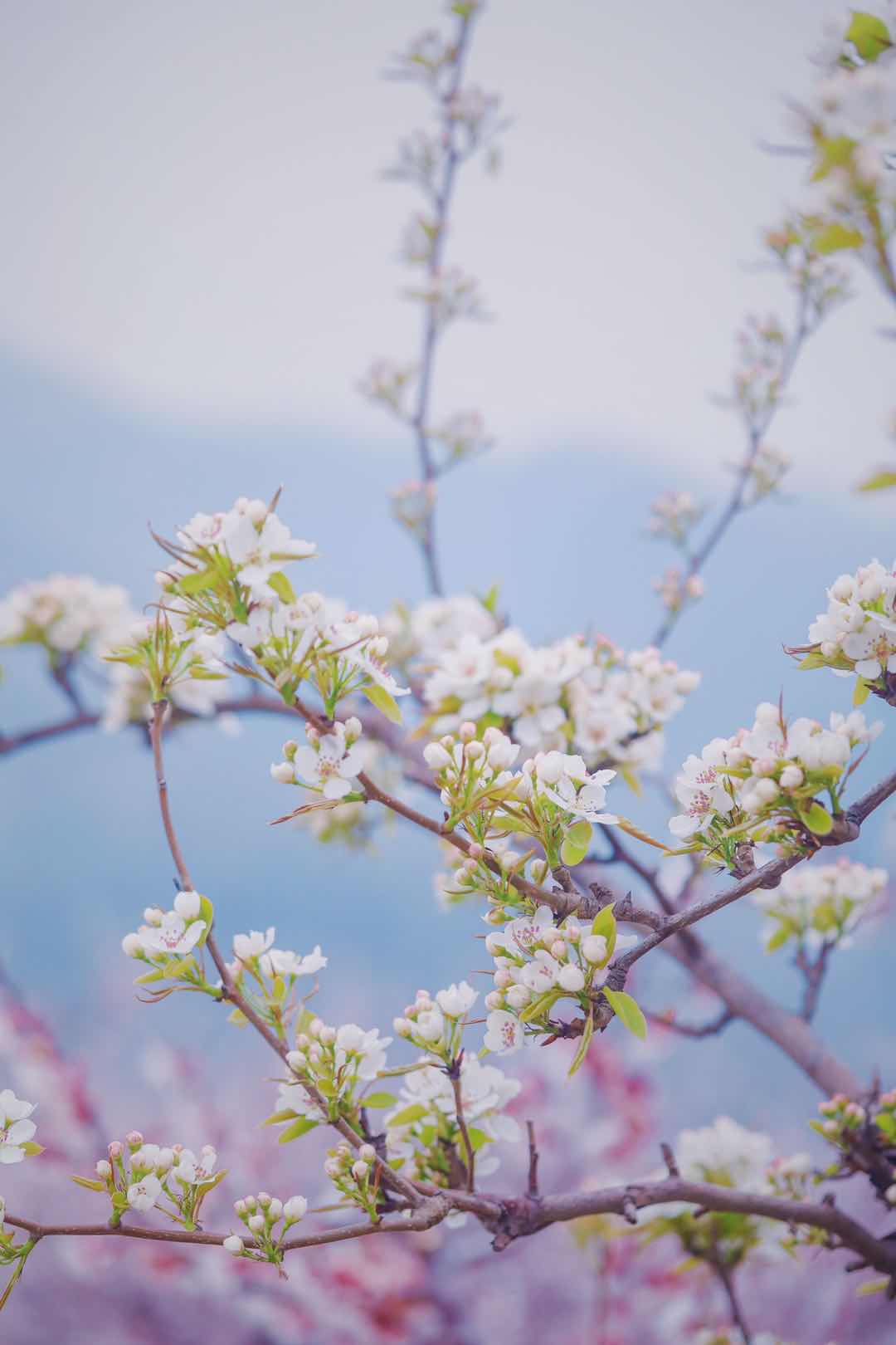 泡温泉鞍山好玩的地方推荐,鞍山温泉好玩的地方推荐