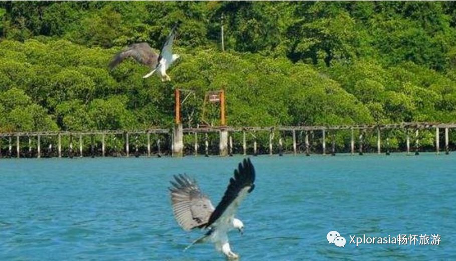 马来西亚兰卡威和槟城旅游攻略,槟城四天三晚怎么玩