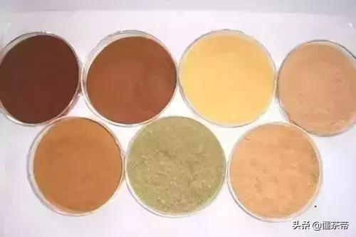 六大茶类营养成分测评,茶里富含的营养成分有哪些
