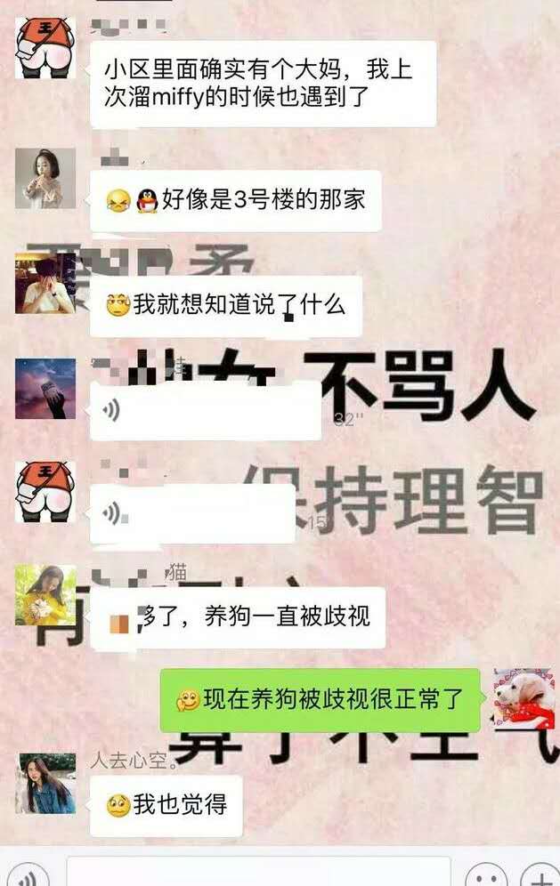 「论坛」小区里面的25个养狗的人，开会讨论zezeze