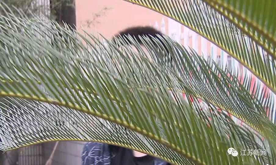 父母给1000万创业,父母给30w创业