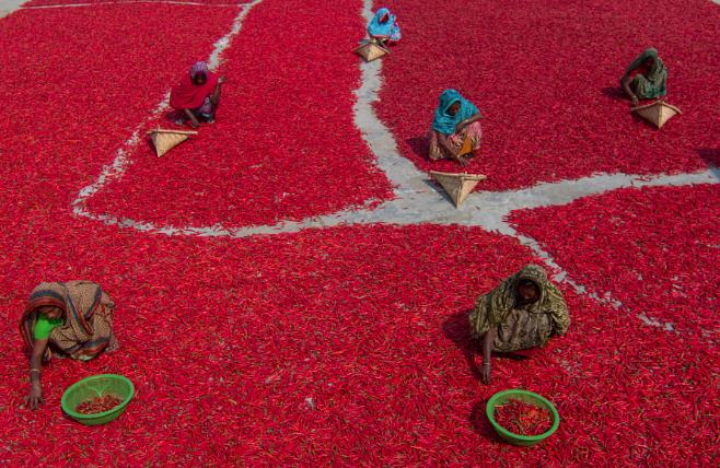 摄影入门构图教程,摄影黄金分割怎么布局