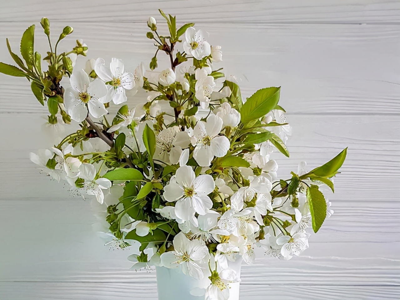 狮子座在感情方面,狮子座情场高手的表现