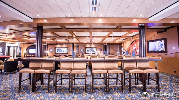 邮轮游选择哪个游轮好,邮轮旅游全攻略公主号