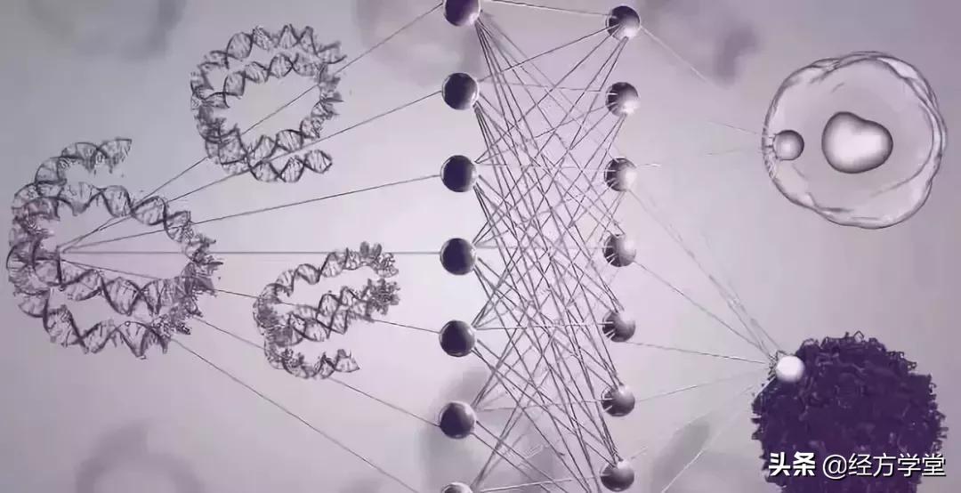 治疗癌症的靶向药指什么,治疗癌症的诊疗规范