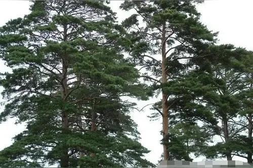 对威海的初印象,对威海的印象怎么样