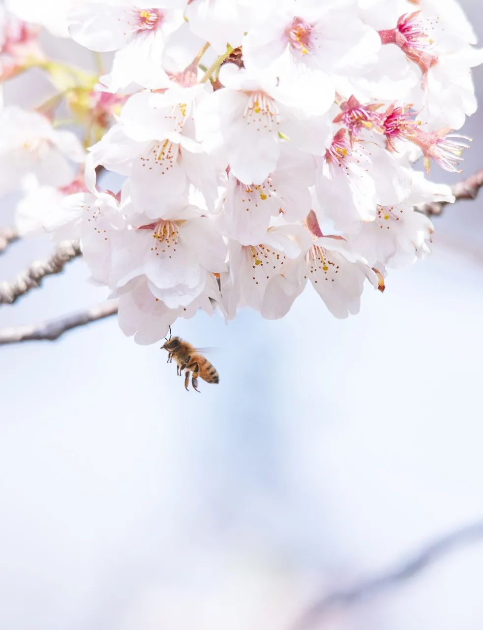 12月想要什么,12月的冬日暖阳岁月如此静好