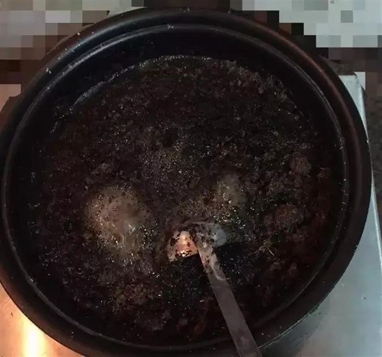 养多肉的土发霉是怎么回事,品氏泥炭土发霉了还能用吗