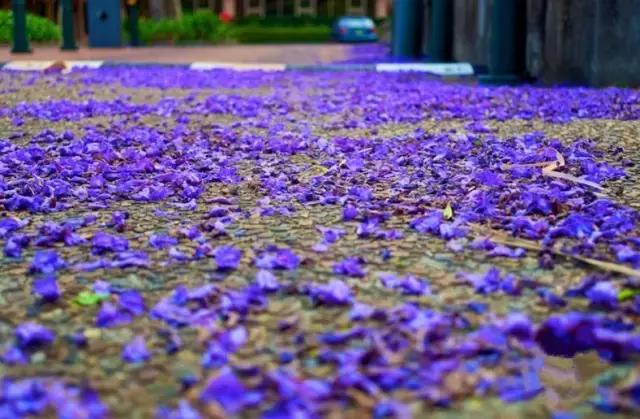 四川这座隐匿千年的古城,四川这座隐藏在喧闹中的千年古镇