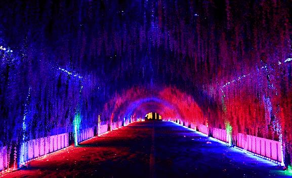 七夕首选!网红灯光秀+6项机动游戏等,观澜湖夜场成人套票仅59