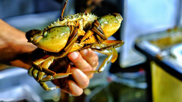 广东有什么适合游玩的岛屿,广东有什么好玩的海岛