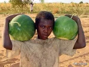 穿越到先秦差点被饿死,穿越到先秦吃啥