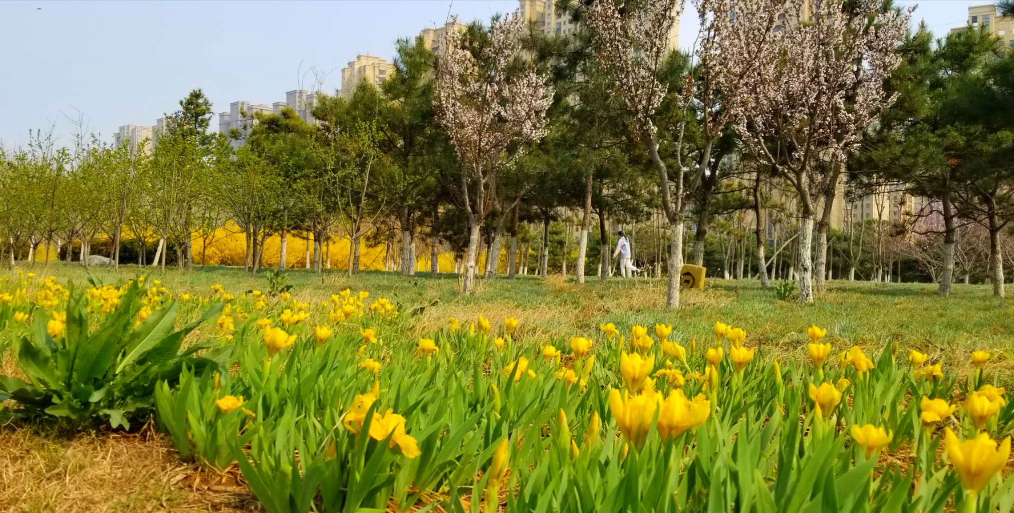 景美人少公园,景美人少适合去哪里旅游