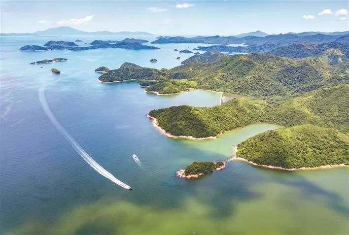 深圳南山、福田有多强?一个是人均GDP超5万美金,一个是撑起深圳两成GDP产出