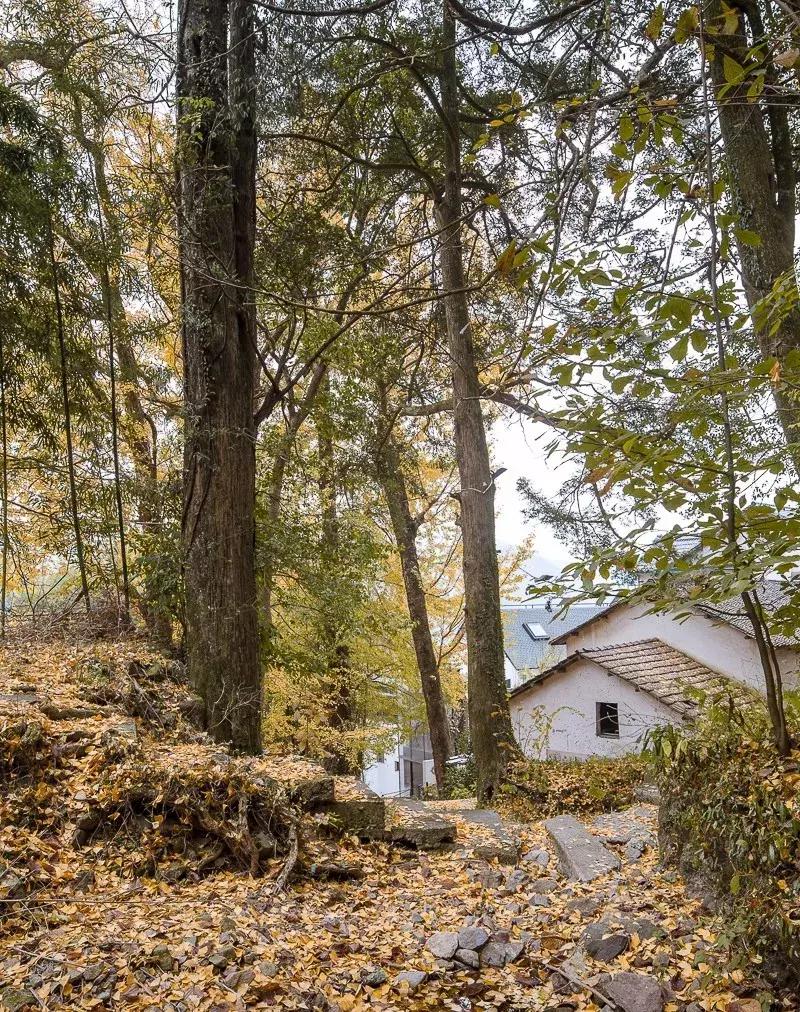 8分钟直抵江南唯一滑雪场,还有温泉,来这家高山云雪民宿充电打卡