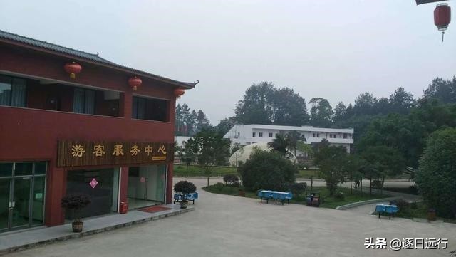 四川自贡市荣县金花,荣县金花乡桫椤谷