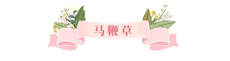 美美美！余杭七大花海组团来袭，遍地繁花好似人间仙境