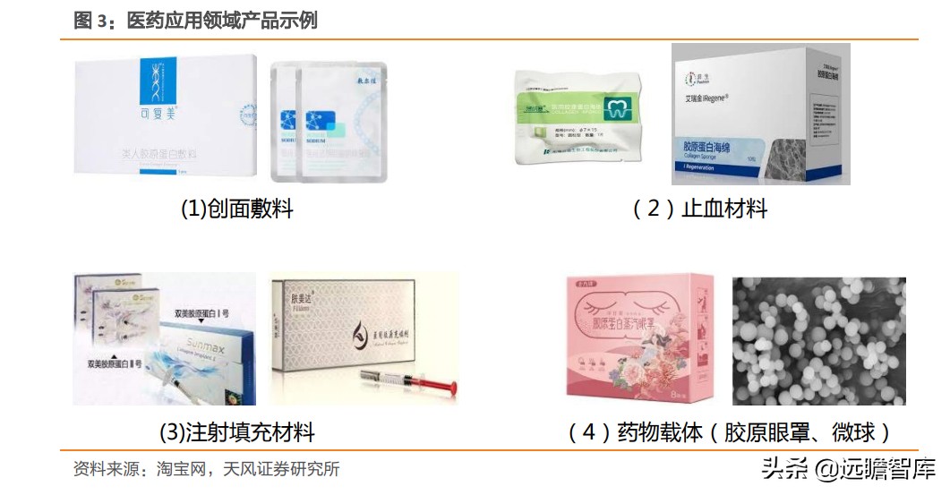 重组胶原蛋白未来趋势,胶原蛋白重组是高端产业吗