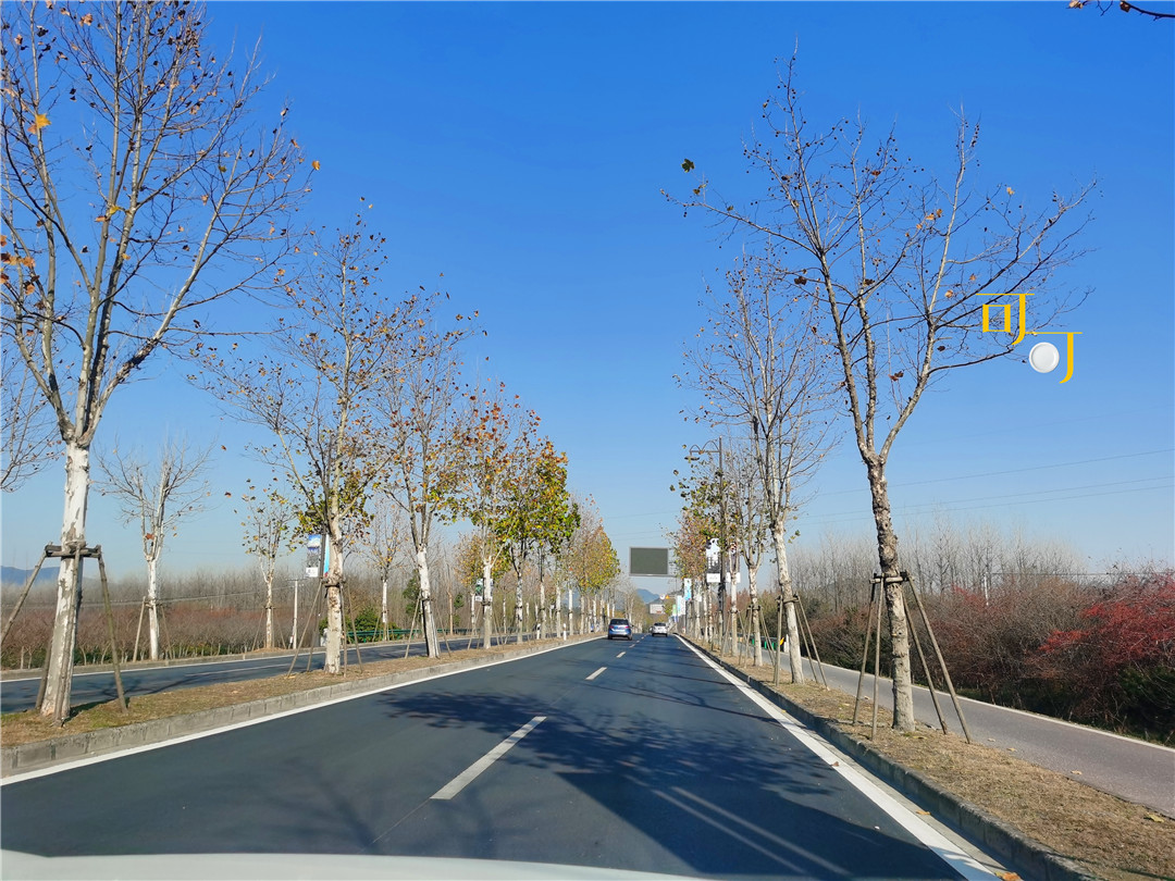 莫干山庾村11月风景,德清元旦哪里好玩