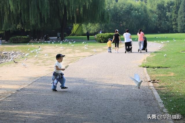 北京紫玉山庄有什么好玩的,紫玉山庄旅游度假