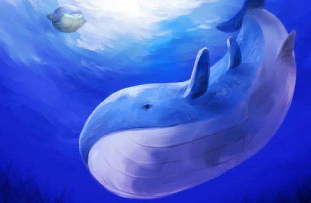 精灵宝可梦属性弱点,精灵宝可梦有哪些是土系的神兽