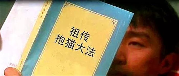 猫咪最讨厌的10个动作,猫咪最讨厌三种抱法图解