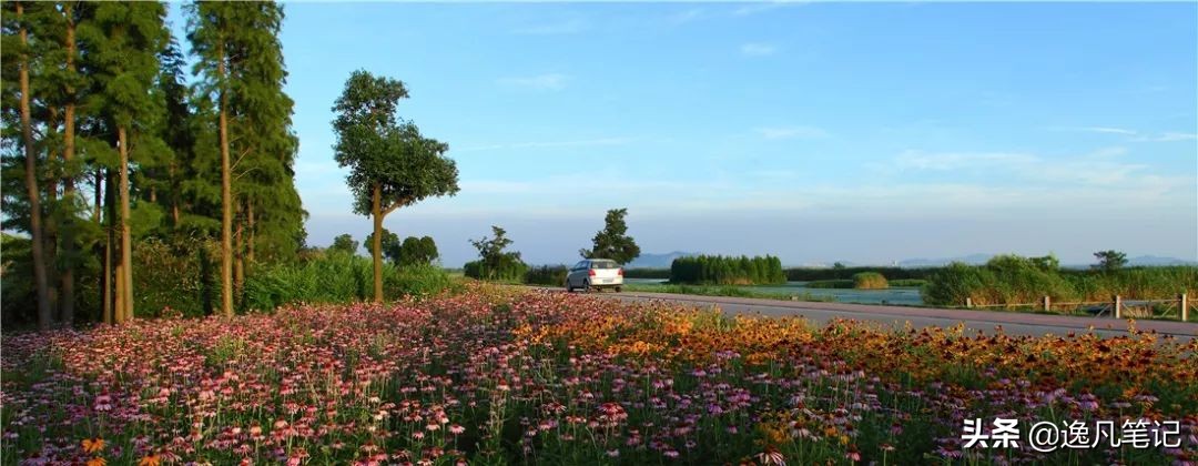 无锡新安街道老城改造,未来无锡规划最有潜力的片区