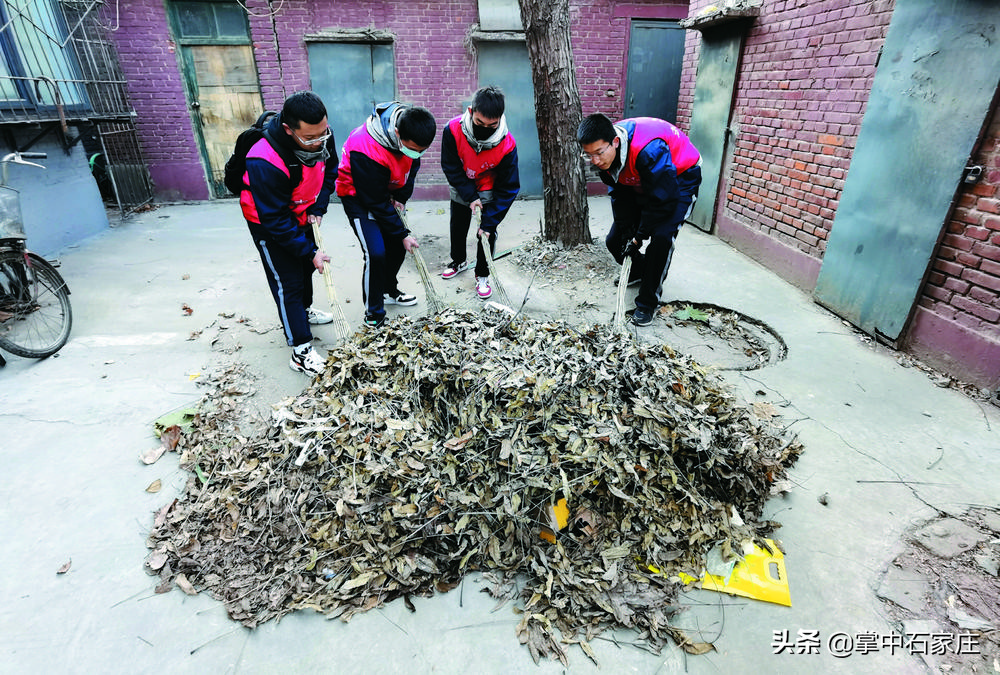 石家庄市的劳动教育,石家庄市中小学劳动教育周活动