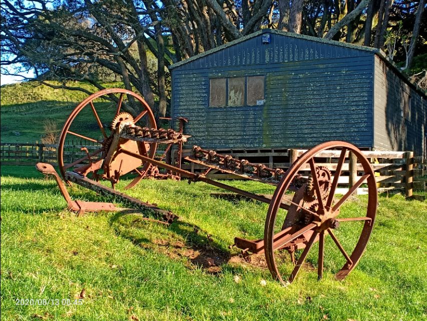 一树山,我的精神家园