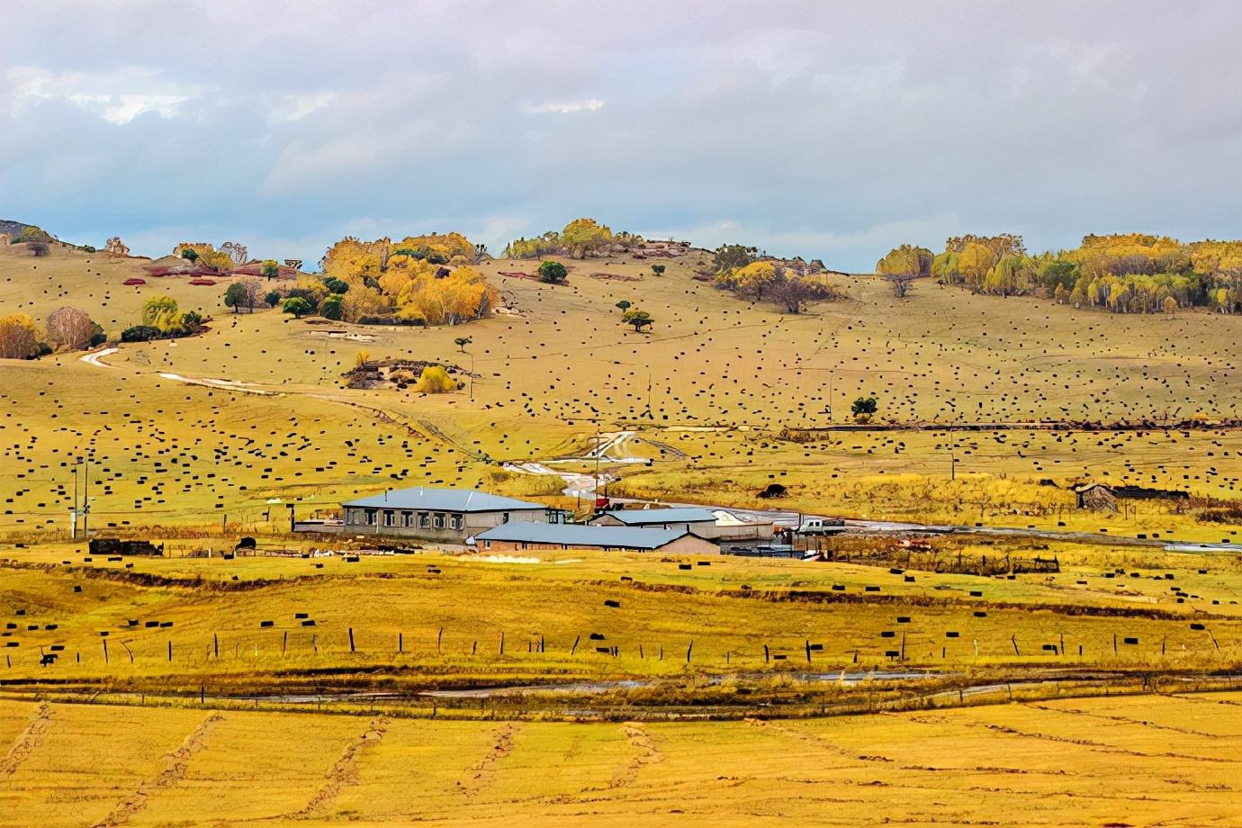 行摄美景,行摄塞外美景
