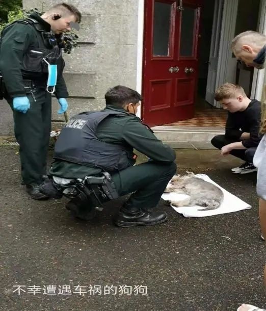 从英国回国为什么要转机,从英国回国需做哪些准备