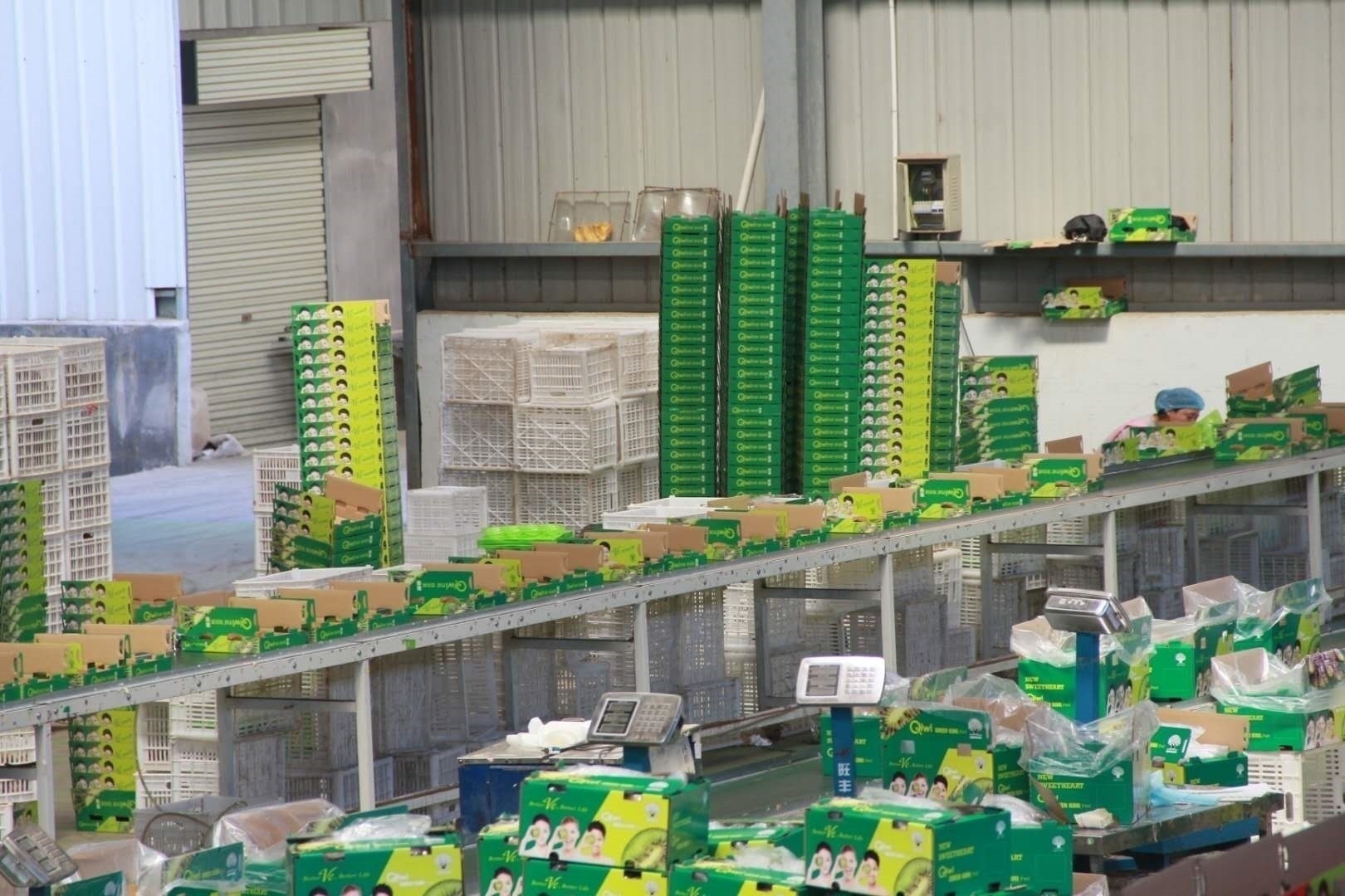 眉县猕猴桃电商企业,眉县国家级猕猴桃产业园物流