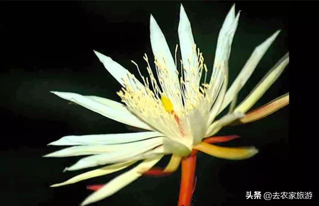 世界上最贵的东西十种排行榜,世界上最贵的十种东西是什么