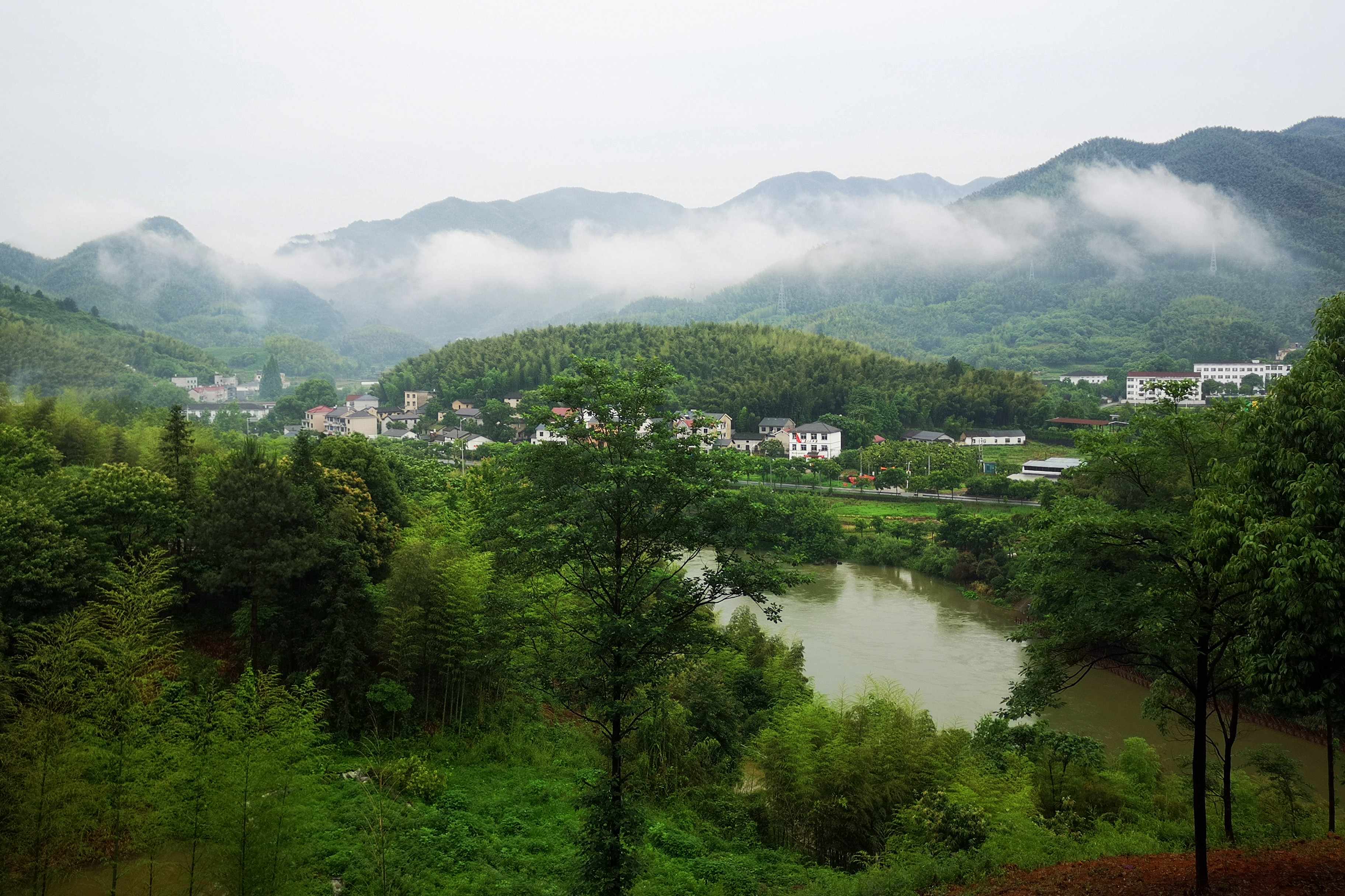 畲族是哪里的民族乡,畲族体验