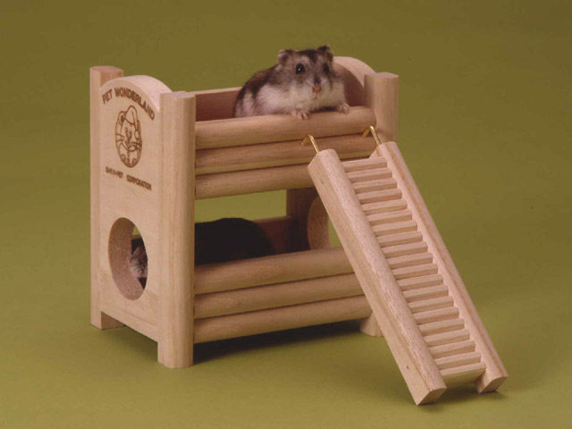 如何照顾仓鼠,仓鼠产后怎么照顾