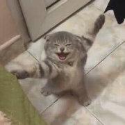 少儿《街舞》？街舞大神王晨艺联和街舞冠军，上演街舞养成计划