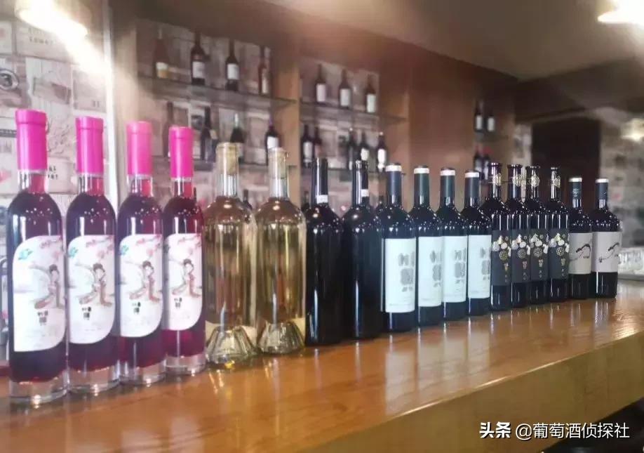 宁夏酒庄之旅,银川酒庄之旅