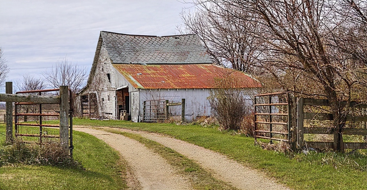 一个国家的悲剧,一个国家发生特大灾难怎么办