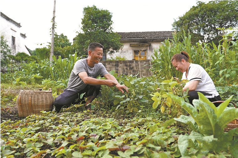 现代中国最牛的兵王,国家最牛的兵王