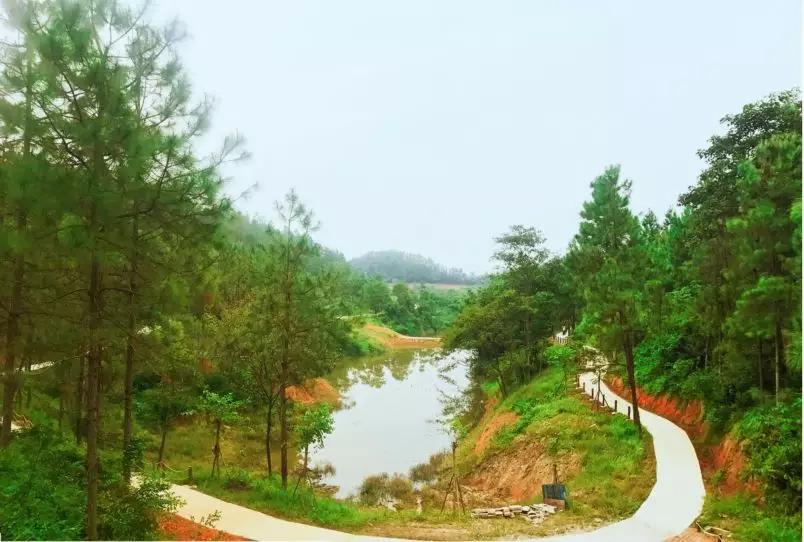 云浮威尼斯水城,云浮新兴水上威尼斯