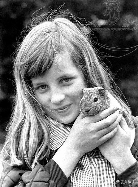 戴安娜英国王妃,戴安娜王妃为什么被捧得那么高